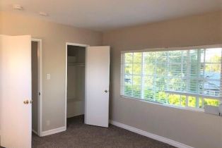 Single Family Residence, 22643 Collins st, Woodland Hills, CA 91367 - 16