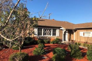 Single Family Residence, 22643 Collins st, Woodland Hills, CA 91367 - 2