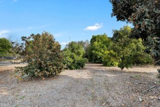 Single Family Residence, 2881 Alamo st, Simi Valley, CA 93065 - 49