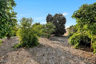 Single Family Residence, 2881 Alamo st, Simi Valley, CA 93065 - 51