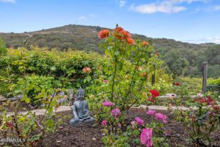 Single Family Residence, 464 Avenida De Las Flores, Thousand Oaks, CA 91360 - 41