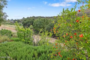 Single Family Residence, 464 Avenida De Las Flores, Thousand Oaks, CA 91360 - 44