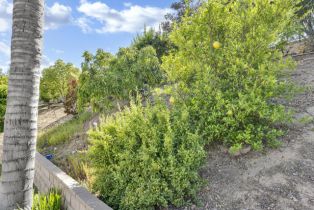 Condominium, 659 Muirfield ave, Simi Valley, CA 93065 - 40