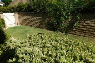 Single Family Residence, 29140 Quail Run dr, Agoura Hills, CA 91301 - 63