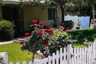 Residential Lease, 5808 Greenview RD, Calabasas, CA  Calabasas, CA 91302