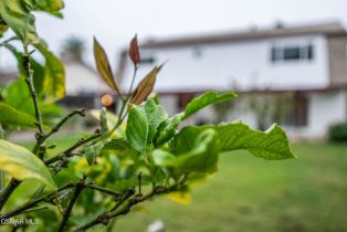 Single Family Residence, 5835 Cozzens st, San Diego, CA 92122 - 47