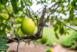 Single Family Residence, 5835 Cozzens st, San Diego, CA 92122 - 49
