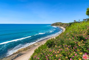 , 29020 Cliffside dr, Malibu, CA 90265 - 18