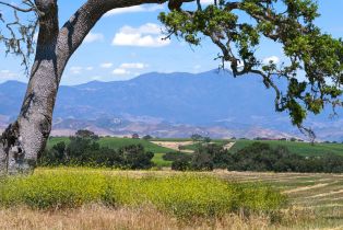 Single Family Residence, 350 Refugio rd, Santa Ynez, CA 93460 - 11