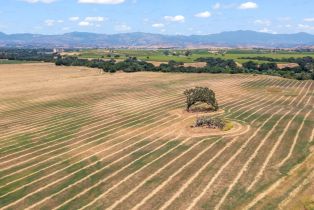 Single Family Residence, 350 Refugio rd, Santa Ynez, CA 93460 - 3