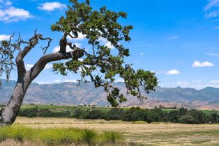 Single Family Residence, 350 Refugio rd, Santa Ynez, CA 93460 - 13