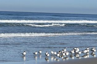 , 719 Ensenada ct, San Diego, CA 92109 - 25