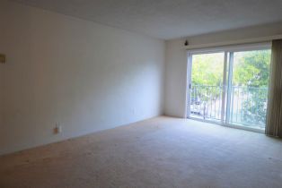 , 1645 Emerald st, San Diego, CA 92109 - 7