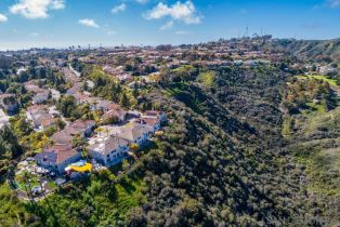 Single Family Residence, 2497 Darlington row, La Jolla, CA 92037 - 9
