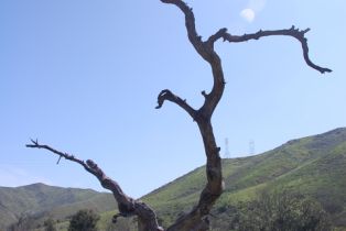 , 1 Canada Larga rd, Ventura, CA 93001 - 42