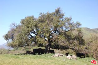 , 1 Canada Larga rd, Ventura, CA 93001 - 43