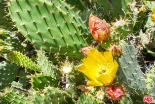 Single Family Residence, 190 Loma Metisse rd, Malibu, CA 90265 - 48