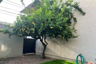 Residential Income, 271 Ash ave, Burbank, CA 91502 - 16