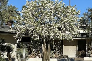 , 40471 Sand Dune rd, Rancho Mirage, CA 92270 - 4