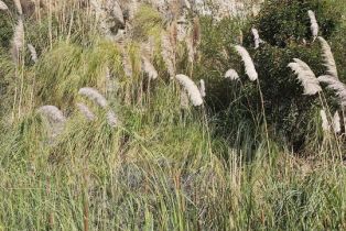 , 3930 Topanga Canyon blvd, Malibu, CA 90265 - 4