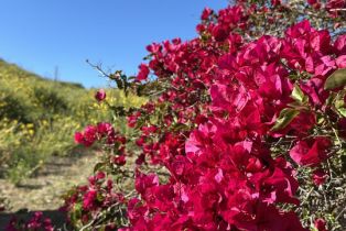 , 34229 Mulholland hwy, Malibu, CA 90265 - 32