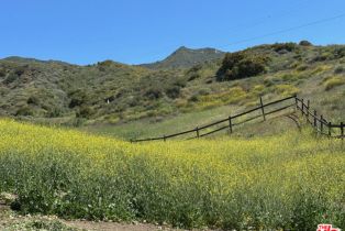 Land, 34229   Mulholland Hwy, Malibu, CA  Malibu, CA 90265