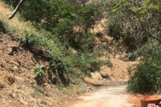 Land, 2423  N Bushrod Ln, Bel Air, CA  Bel Air, CA 90077