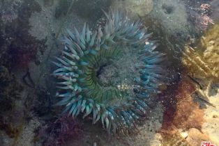 Condominium, 26664 Seagull way, Malibu, CA 90265 - 22