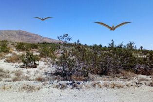 , 7 Angela dr, Desert Hot Springs, CA 92240 - 2