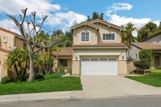 Single Family Residence, 3326 Rancho Famosa, Carlsbad, CA  Carlsbad, CA 92009