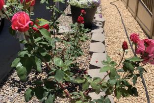 , 10771 Black Mountain rd, San Diego, CA 92126 - 25