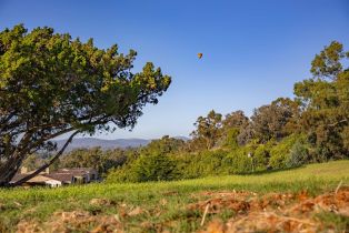 , 4397 Camino Privado, Rancho Santa Fe, CA 92067 - 2