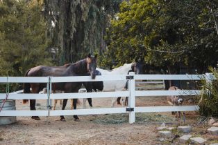 Single Family Residence, 3350 Bumann Rd, CA  , CA 92024