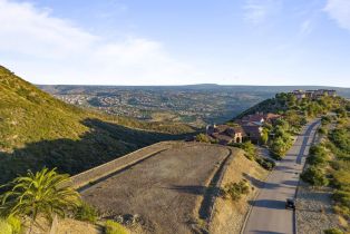 , 0 El Brazo, Rancho Santa Fe, CA 92067 - 4