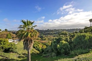 , 3610 Gaylord ct, San Diego, CA 92117 - 17