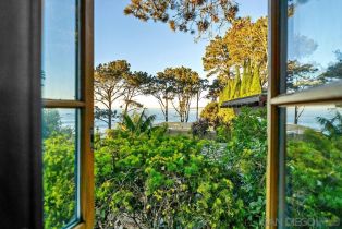 , 1315 Cave st, San Diego, CA 92037 - 30