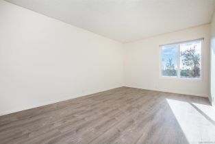 Condominium, 1855 Diamond st, San Diego, CA 92109 - 19