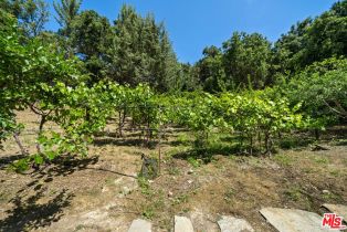 Single Family Residence, 600 Carlisle rd, Thousand Oaks, CA 91361 - 40