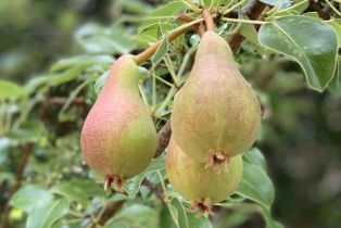 Single Family Residence, 600 Carlisle rd, Thousand Oaks, CA 91361 - 42