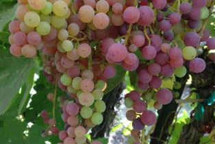 Single Family Residence, 600 Carlisle rd, Thousand Oaks, CA 91361 - 41