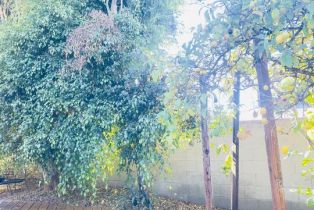 Single Family Residence, 5315 Slauson ave, Culver City, CA 90230 - 22