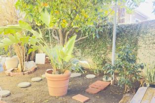 Single Family Residence, 5315 Slauson ave, Culver City, CA 90230 - 19