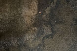 Condominium, 534 Flower cir, Orange, CA 92868 - 11