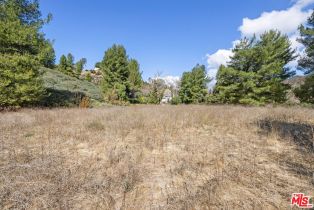 , 24600 Thousand Peaks Rd, Calabasas, CA 91302 - 10