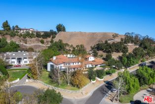 , 25127 Jim Bridger rd, Hidden Hills , CA 91302 - 50