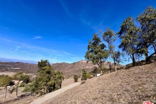 , 11077 Pacific View dr, Malibu, CA 90265 - 4