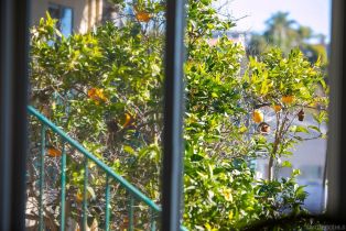 , 210 A st, Encinitas, CA 92024 - 16