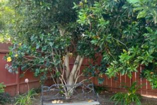 , 540 Country Club ln, Coronado, CA 92118 - 29