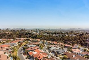 Single Family Residence, 1619 Calle De Primra, La Jolla, CA 92037 - 40