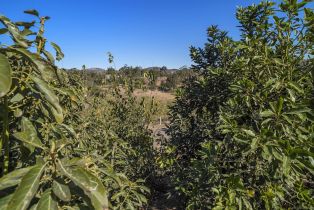 , 3605 Fortuna Ranch rd, Encinitas, CA 92024 - 45